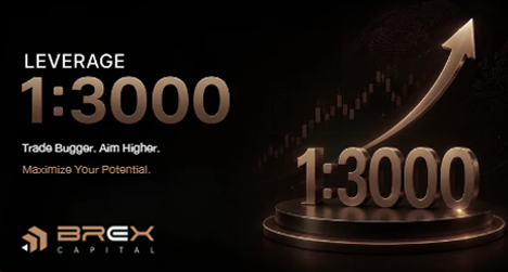โปรโมชั่นเลเวอเรจ 1:3000